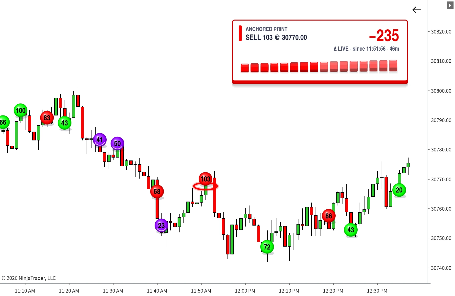 TrackTicks Big Print indicator flagging large trade prints on a NinjaTrader 8 chart