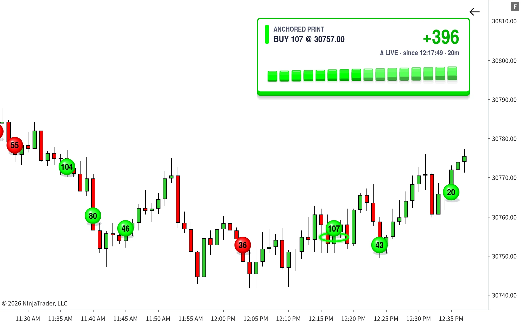 TrackTicks Big Print indicator highlighting large trade prints on a NinjaTrader 8 chart