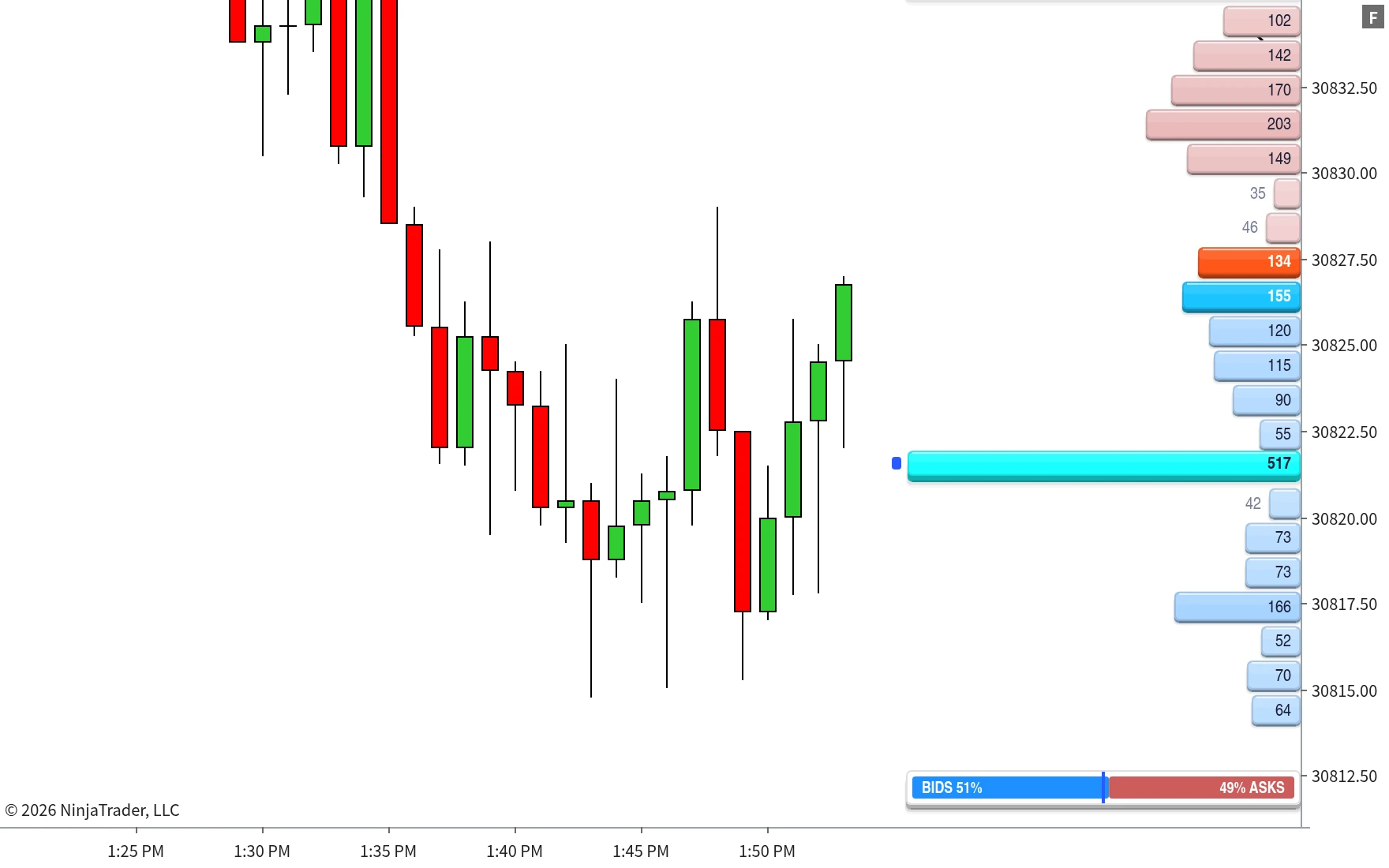 TrackTicks Market Depth live order book drawn beside price on a NinjaTrader 8 chart